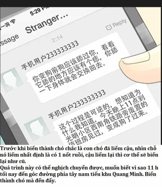 Một Con Chó - Chương 7 - ảnh 5