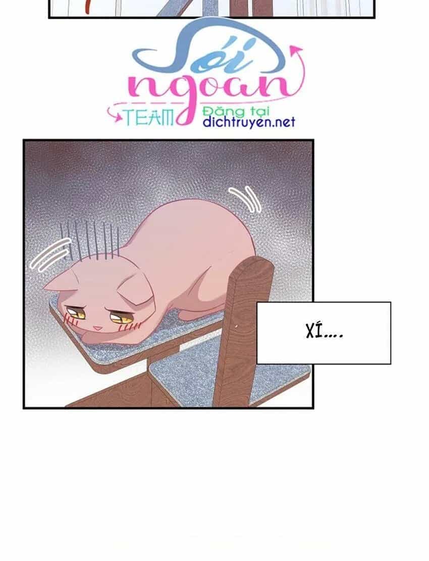 Một Cuộc Sống Kỳ Lạ - Chương 17 - ảnh 10