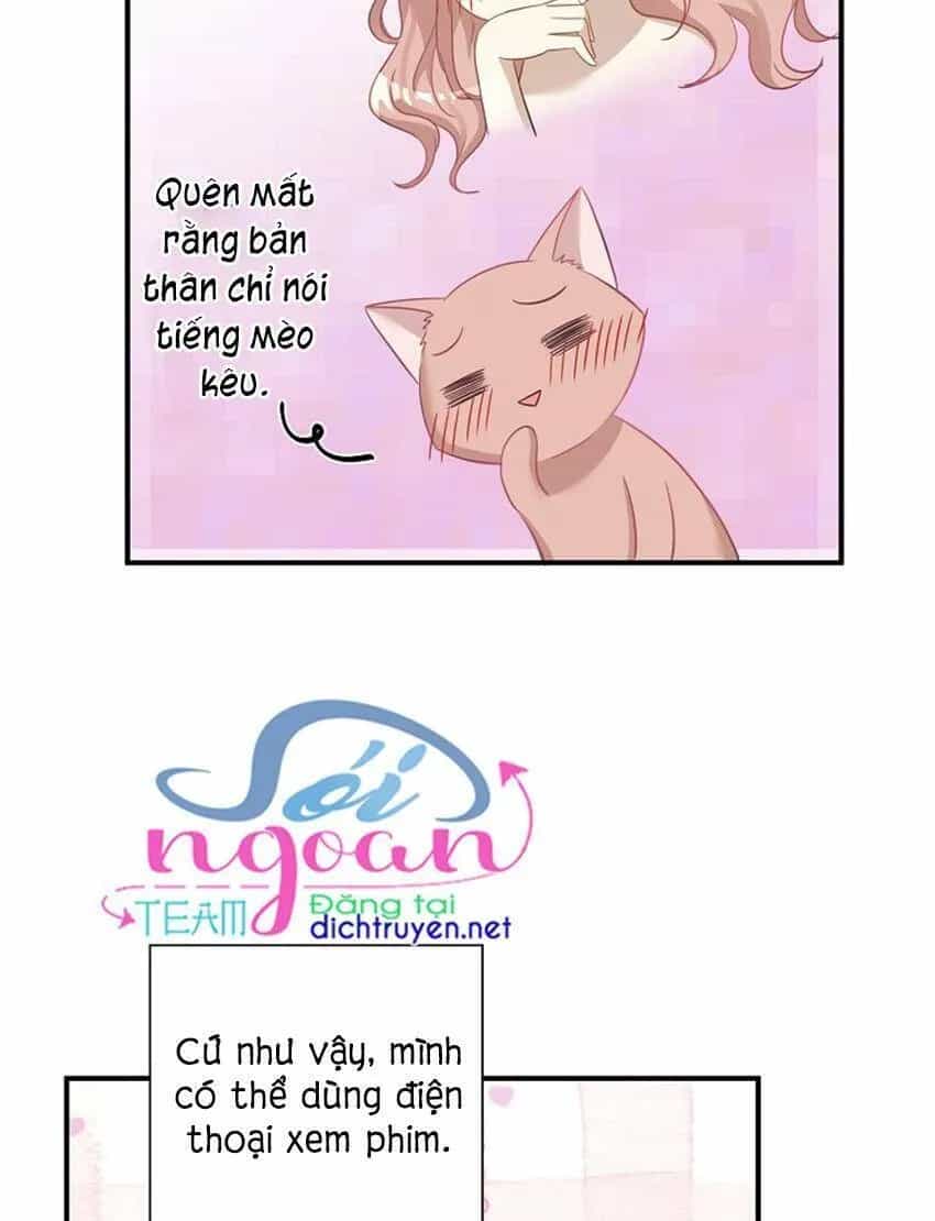 Một Cuộc Sống Kỳ Lạ - Chương 17 - ảnh 25