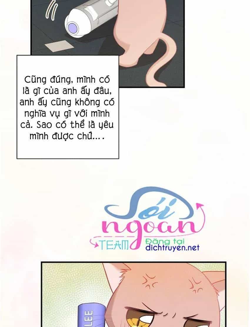 Một Cuộc Sống Kỳ Lạ - Chương 17 - ảnh 5