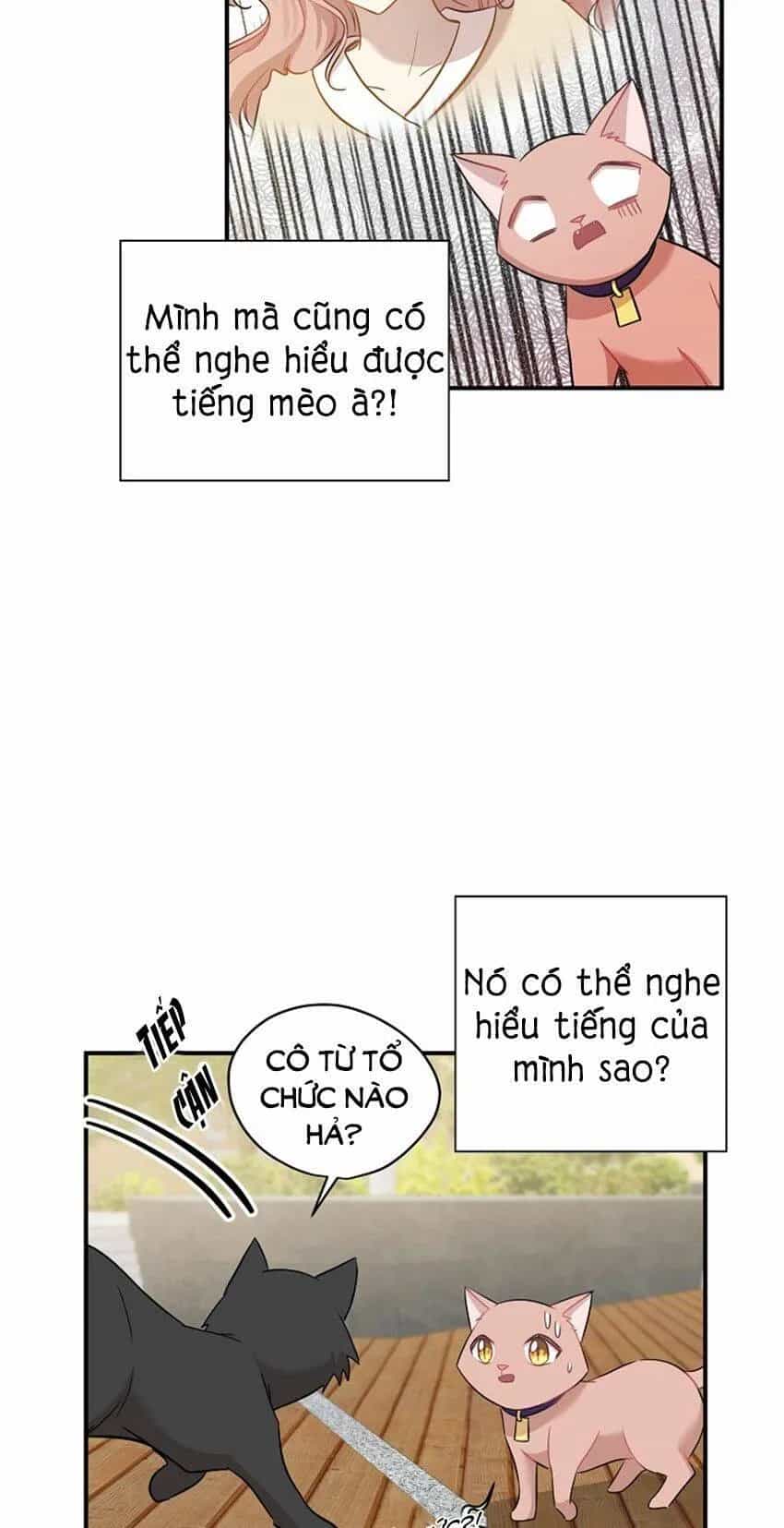 Một Cuộc Sống Kỳ Lạ - Chương 21 - ảnh 14
