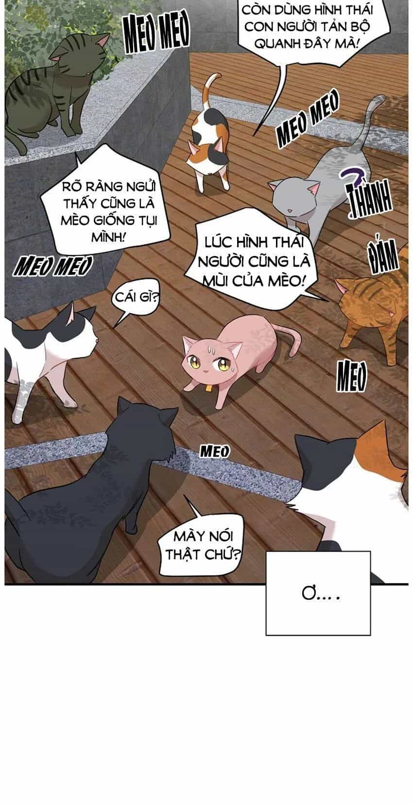Một Cuộc Sống Kỳ Lạ - Chương 21 - ảnh 16