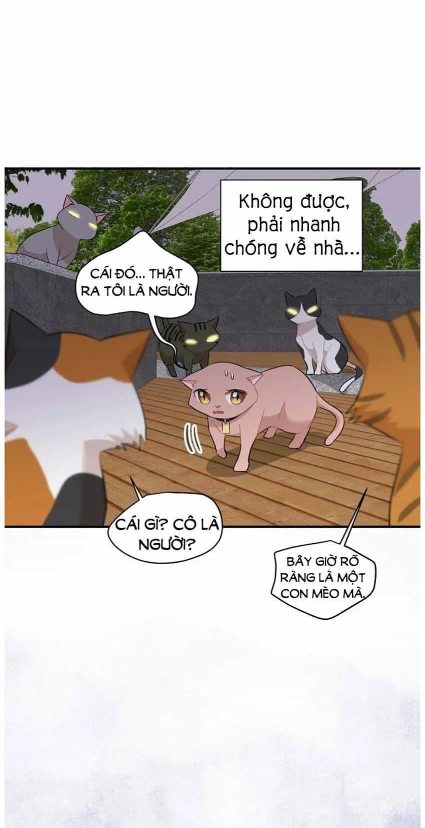 Một Cuộc Sống Kỳ Lạ - Chương 21 - ảnh 17