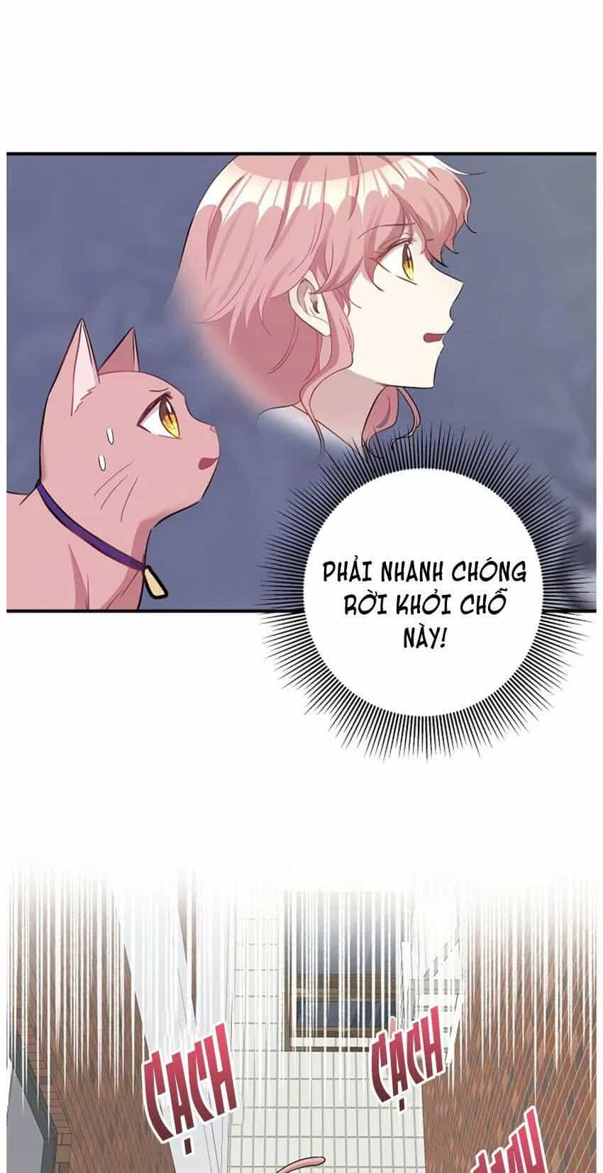 Một Cuộc Sống Kỳ Lạ - Chương 21 - ảnh 6