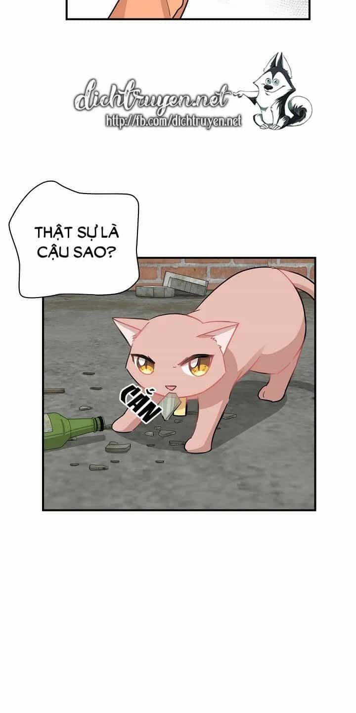 Một Cuộc Sống Kỳ Lạ - Chương 26 - ảnh 26