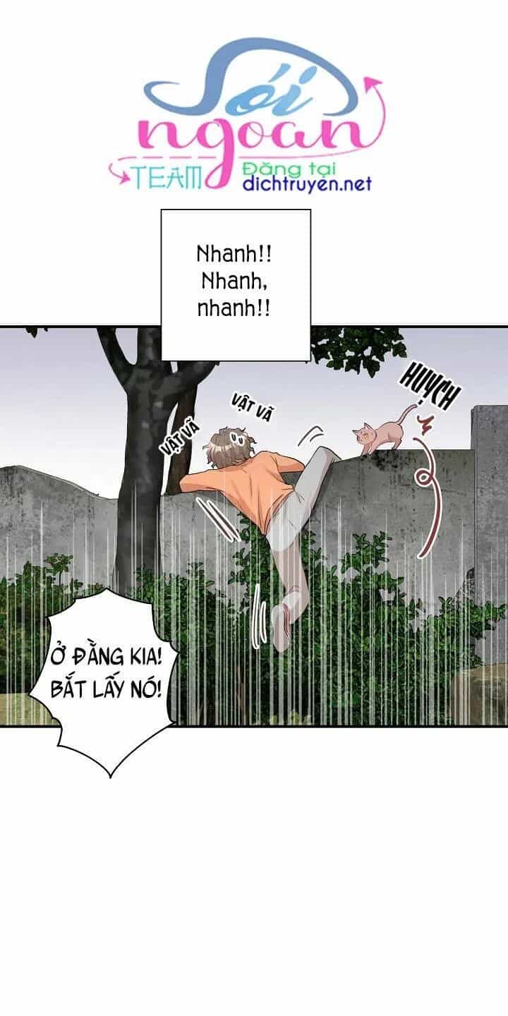 Một Cuộc Sống Kỳ Lạ - Chương 26 - ảnh 30