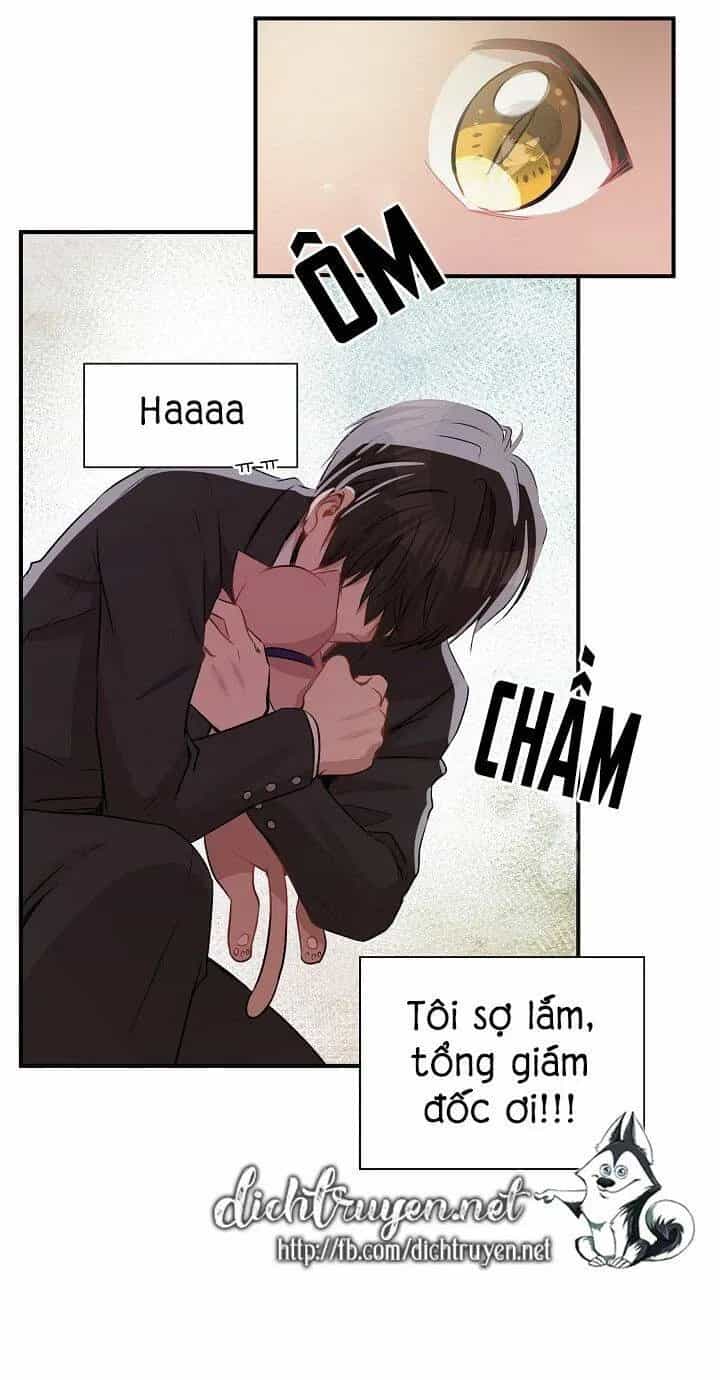 Một Cuộc Sống Kỳ Lạ - Chương 26 - ảnh 42