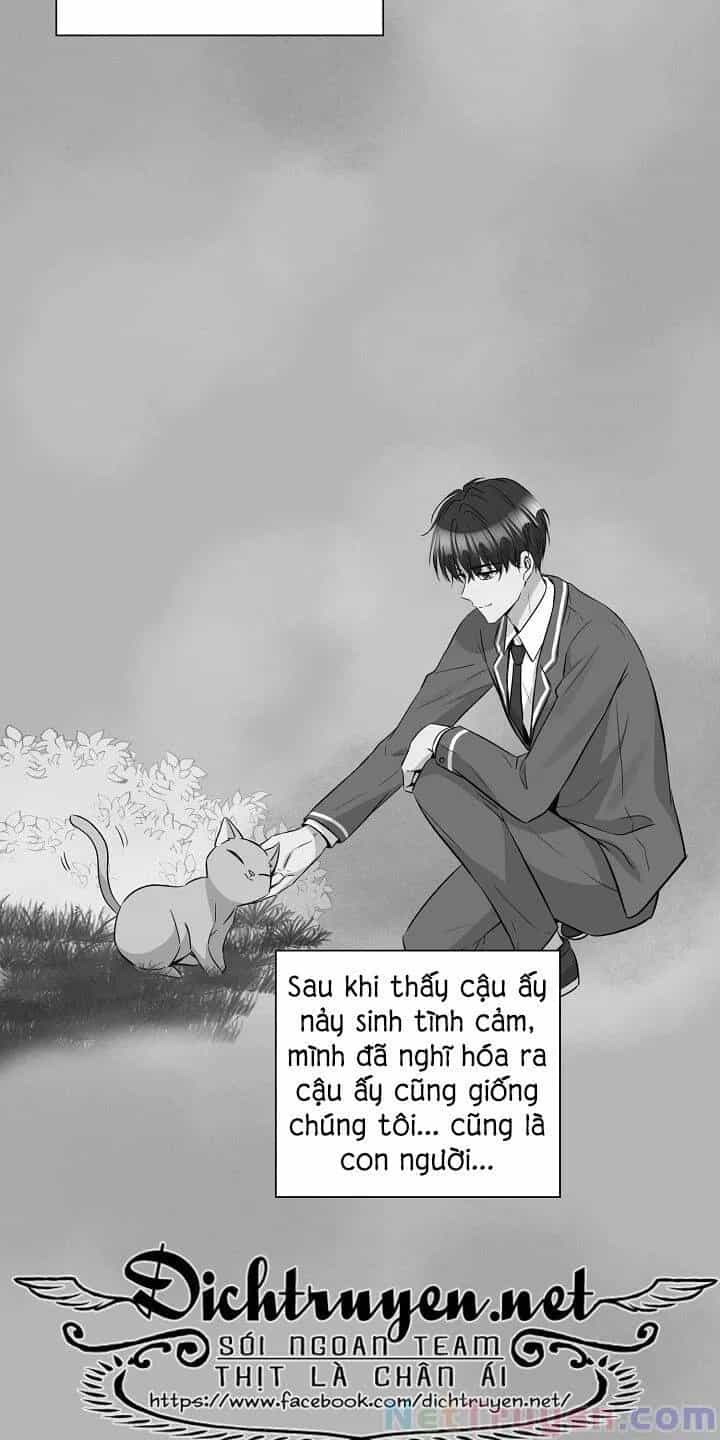 Một Cuộc Sống Kỳ Lạ - Chương 34 - ảnh 35
