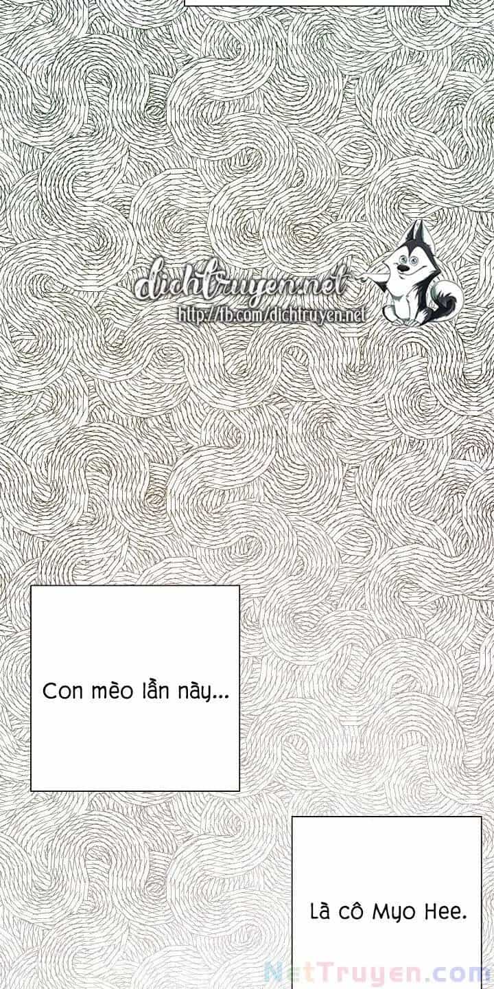 Một Cuộc Sống Kỳ Lạ - Chương 34 - ảnh 47