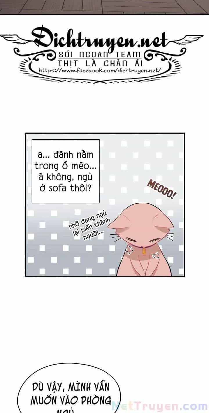 Một Cuộc Sống Kỳ Lạ - Chương 35 - ảnh 3