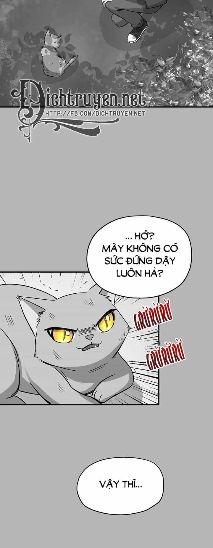 Một Cuộc Sống Kỳ Lạ - Chương 41 - ảnh 12