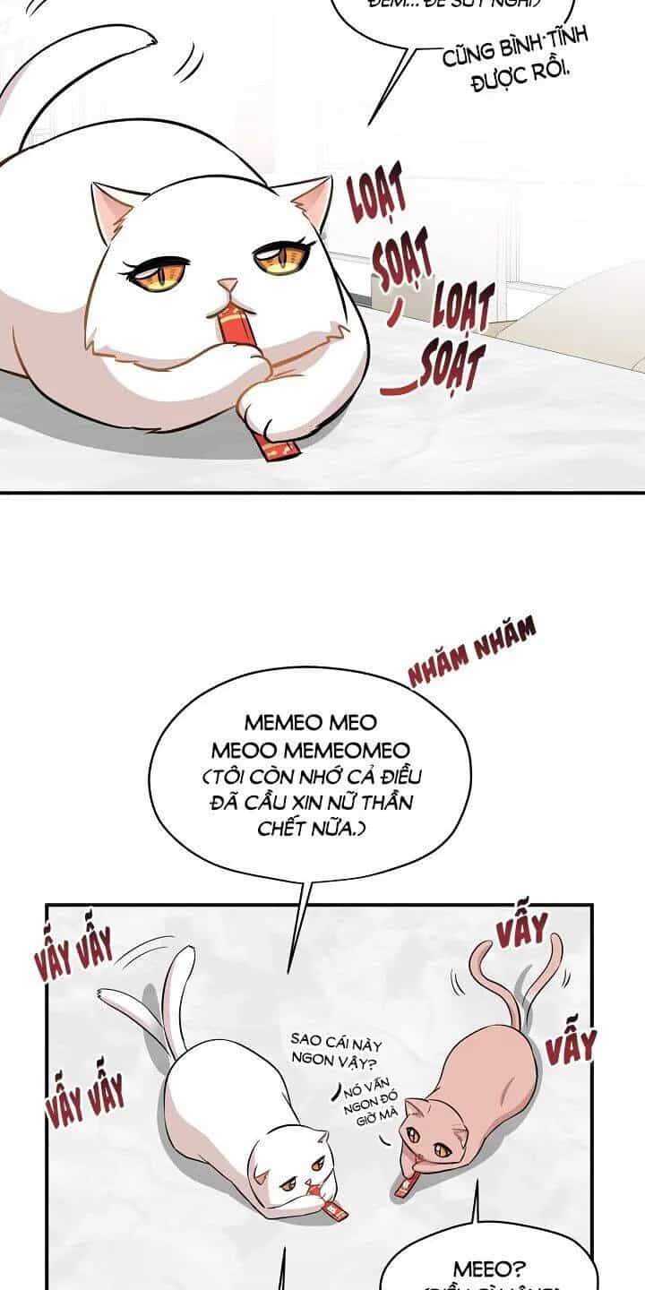 Một Cuộc Sống Kỳ Lạ - Chương 44 - ảnh 48
