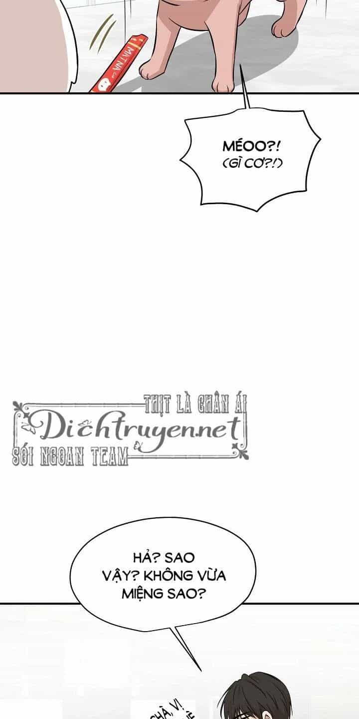 Một Cuộc Sống Kỳ Lạ - Chương 44 - ảnh 50