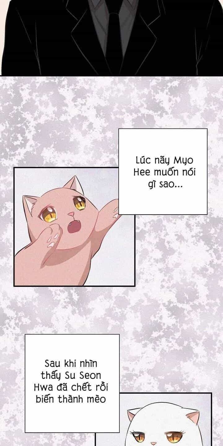 Một Cuộc Sống Kỳ Lạ - Chương 45 - ảnh 31