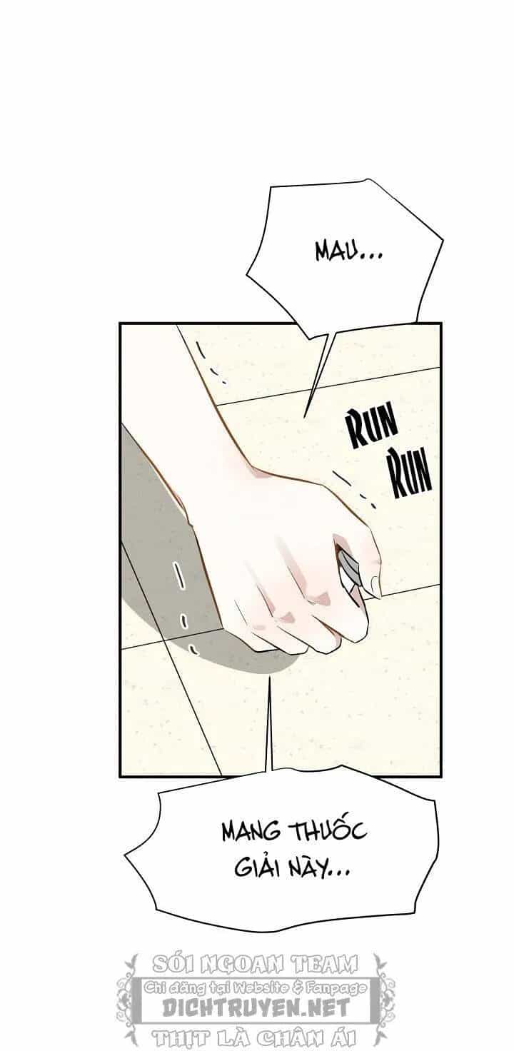 Một Cuộc Sống Kỳ Lạ - Chương 48 - ảnh 14