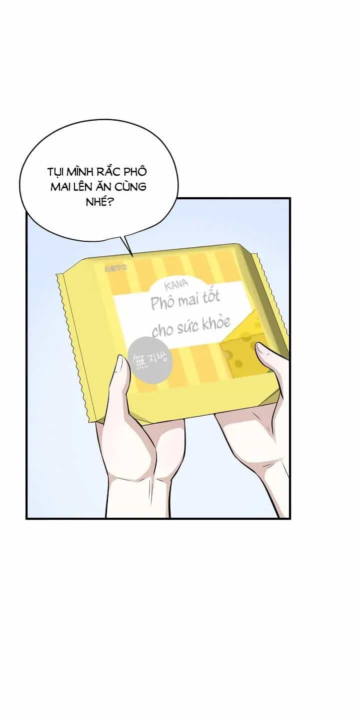 Một Cuộc Sống Kỳ Lạ - Chương 64 - ảnh 37