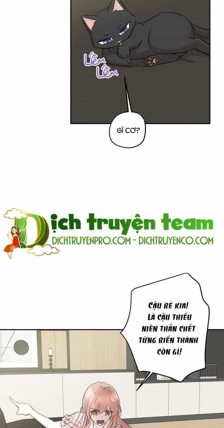 Một Cuộc Sống Kỳ Lạ - Chương 67 - ảnh 12