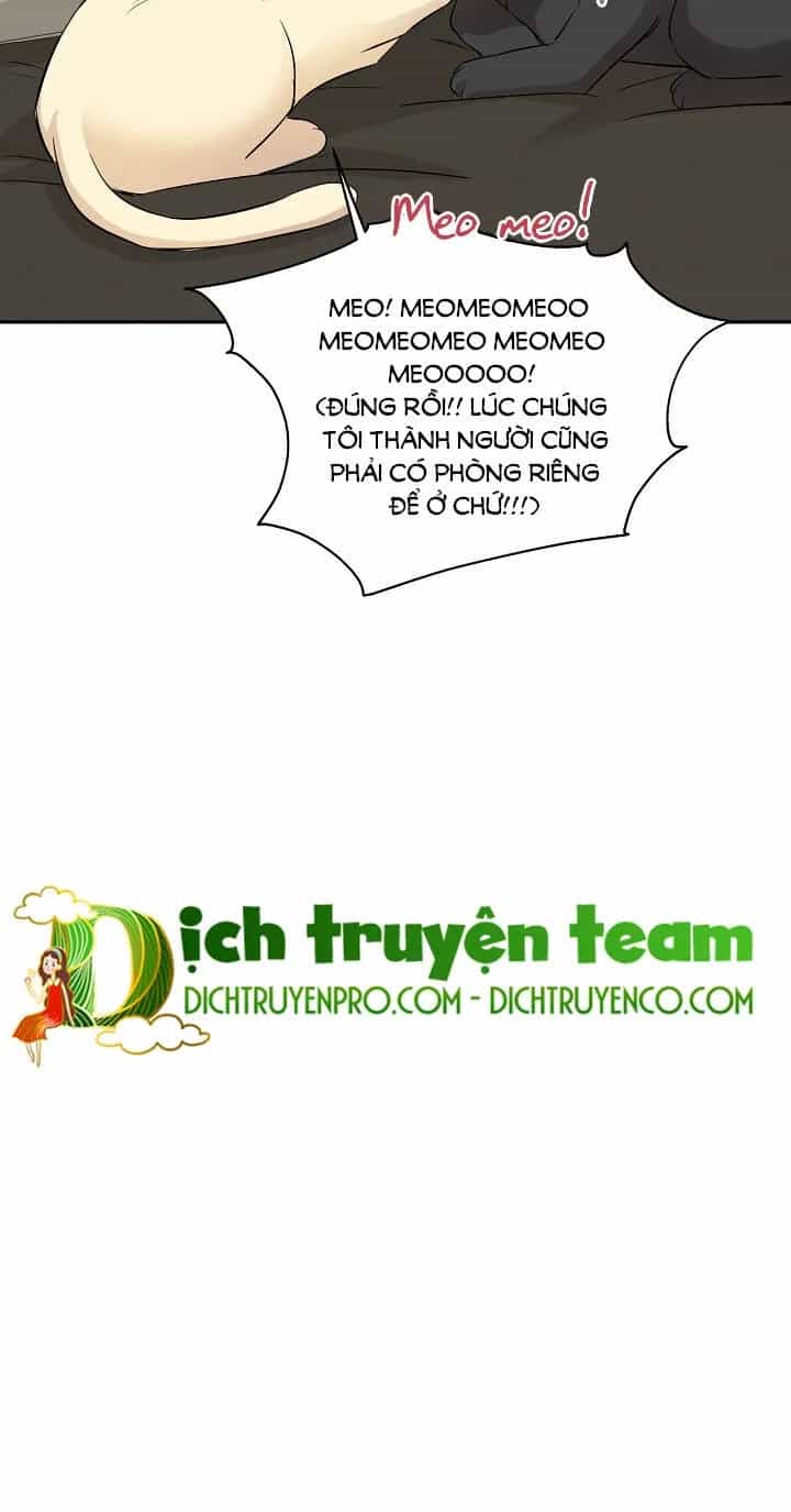 Một Cuộc Sống Kỳ Lạ - Chương 67 - ảnh 24