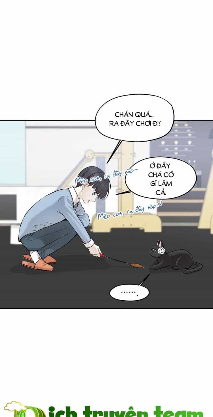 Một Cuộc Sống Kỳ Lạ - Chương 69 - ảnh 3