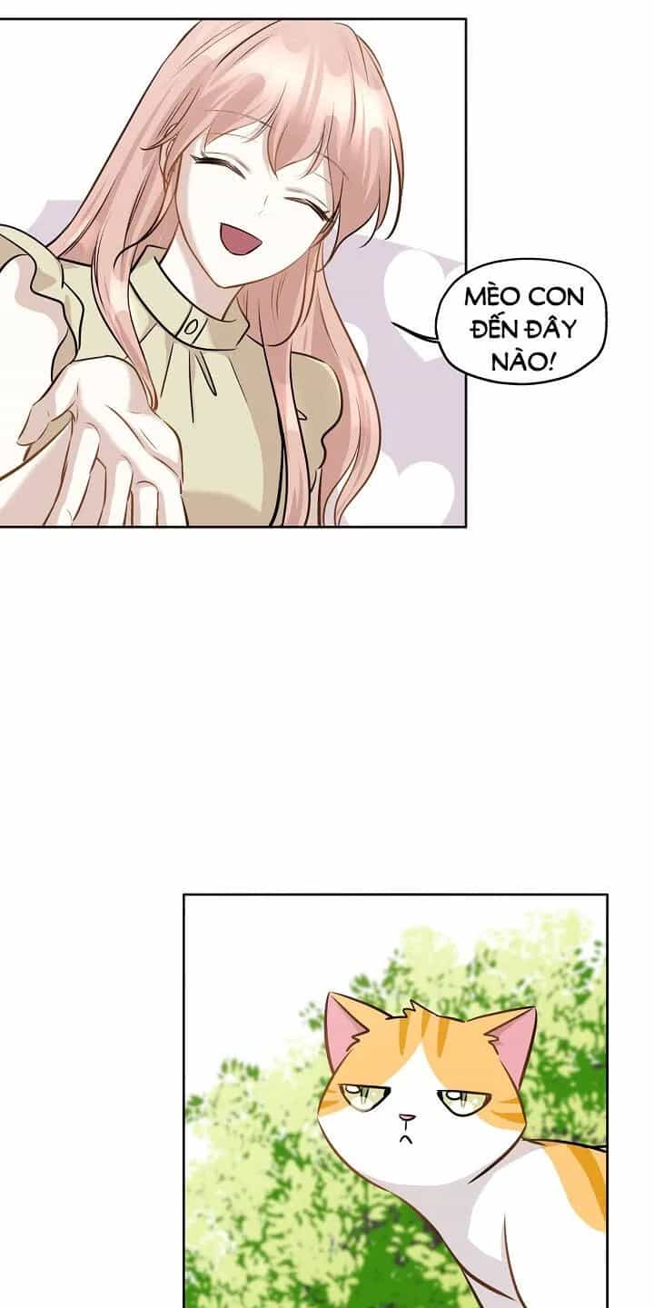 Một Cuộc Sống Kỳ Lạ - Chương 83 - ảnh 29