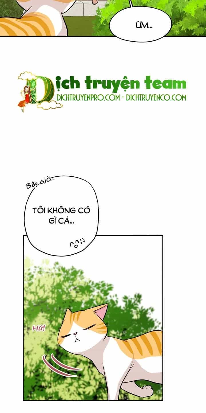 Một Cuộc Sống Kỳ Lạ - Chương 83 - ảnh 31