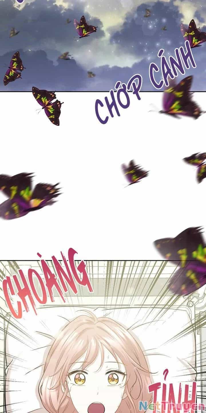 Một Cuộc Sống Kỳ Lạ - Chương 85 - ảnh 30
