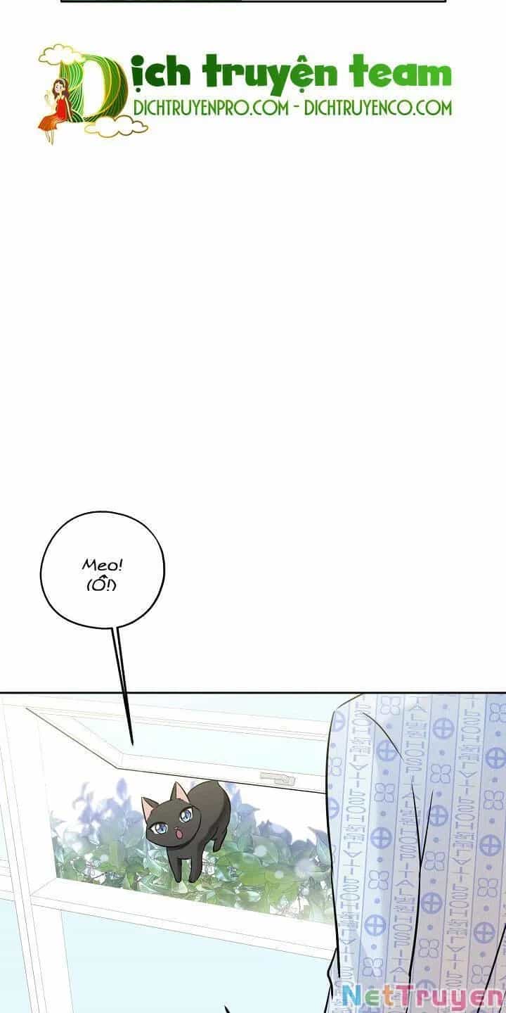 Một Cuộc Sống Kỳ Lạ - Chương 86 - ảnh 18