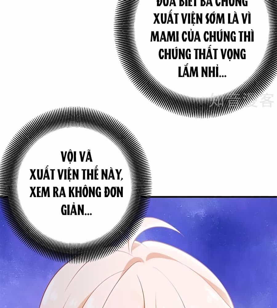 Một Thai Hai Bảo : Đưa Mami Về Nhà ! - Chương 268 - ảnh 25