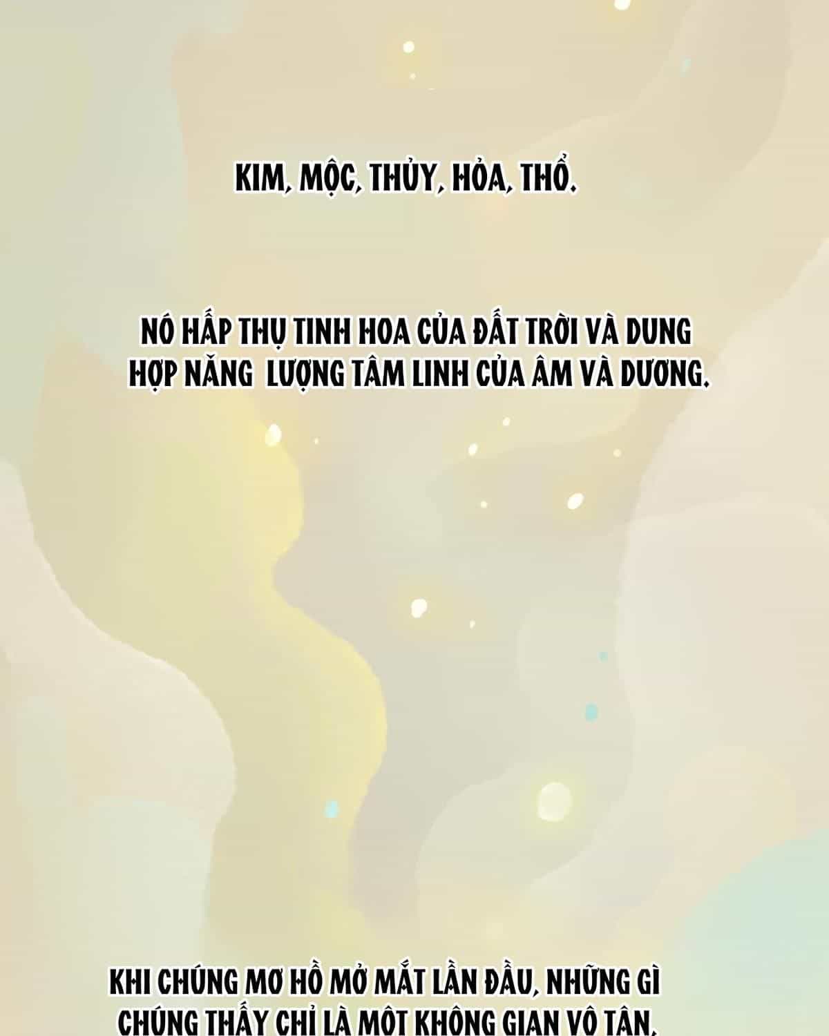 Năm Bạn Mèo - Chương 1 - ảnh 12