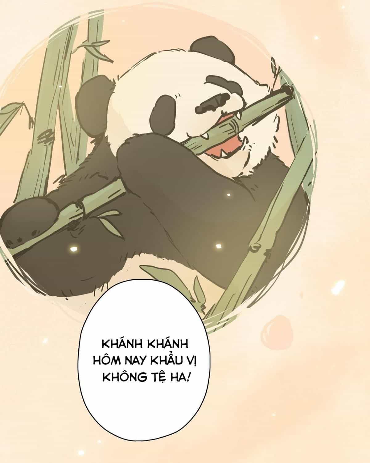 Năm Bạn Mèo - Chương 23 - ảnh 11