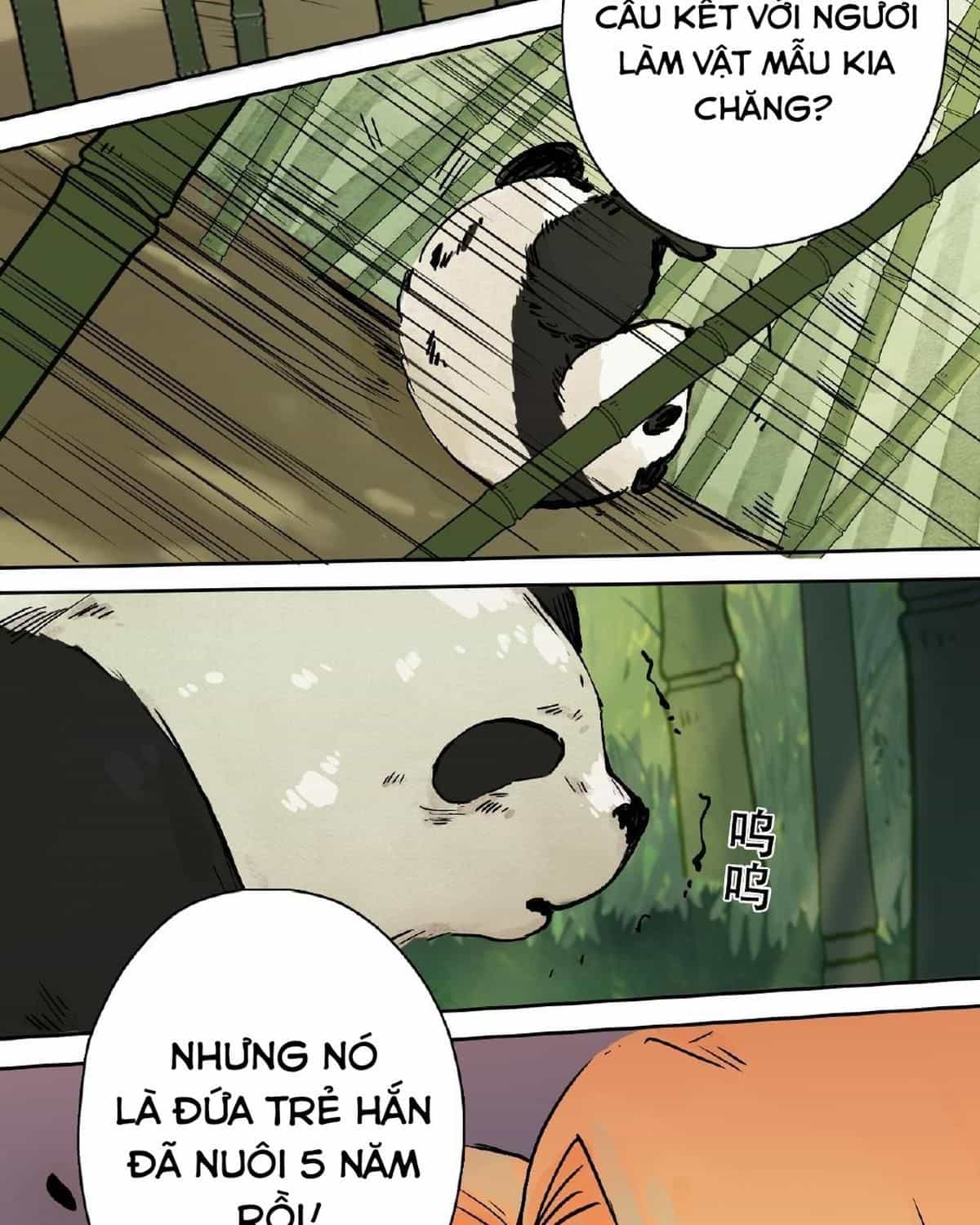 Năm Bạn Mèo - Chương 23 - ảnh 33