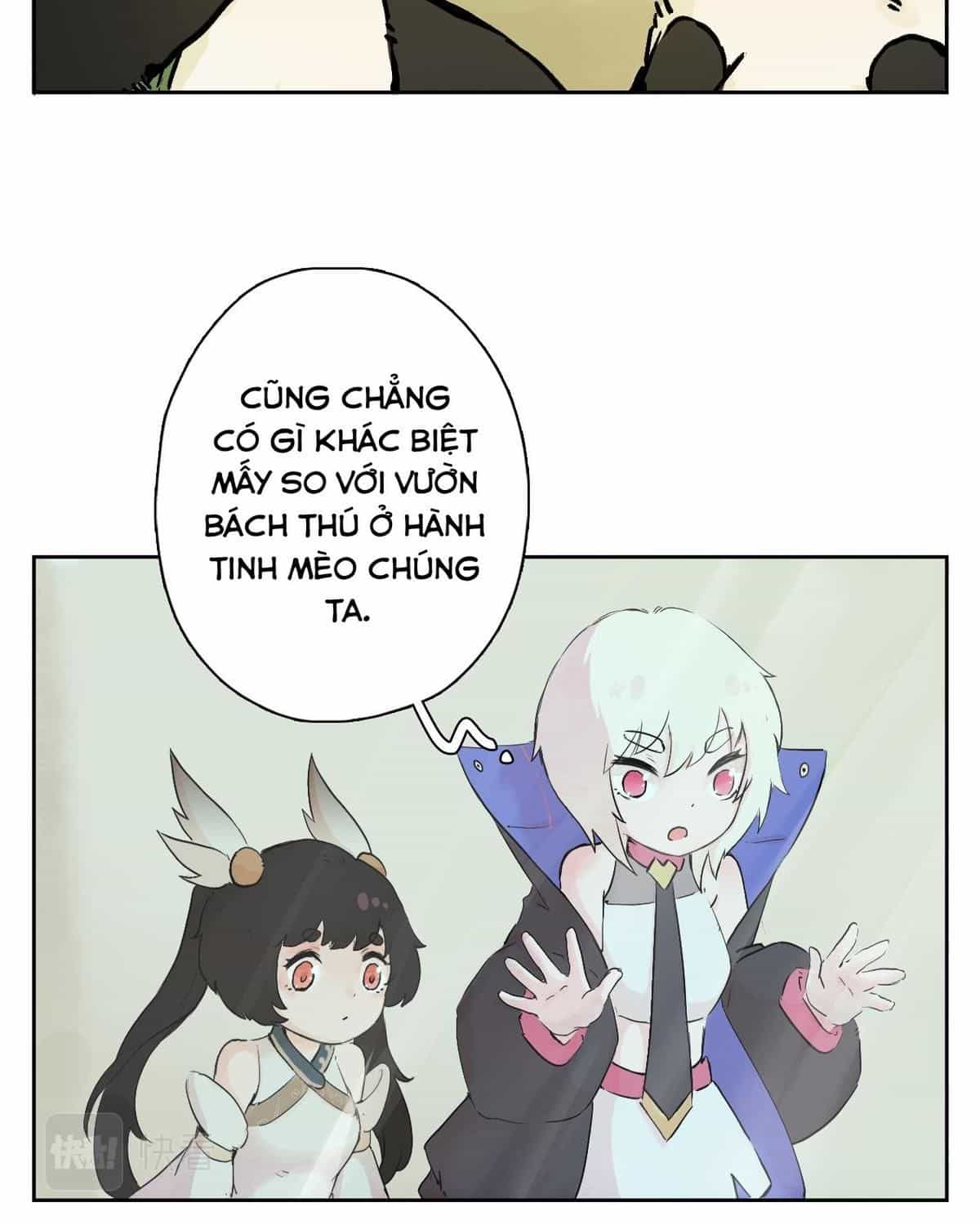 Năm Bạn Mèo - Chương 24 - ảnh 18