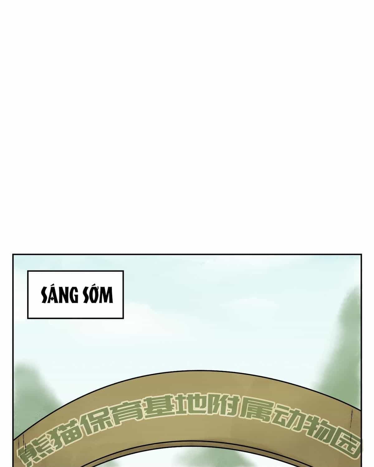 Năm Bạn Mèo - Chương 24 - ảnh 4