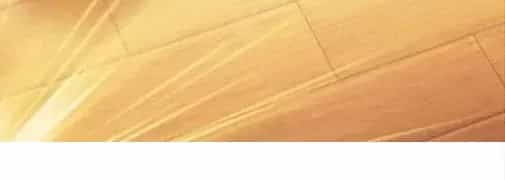 Nam Chủ Và Hậu Cung Đều Là Của Ta - Chương 74 - ảnh 179