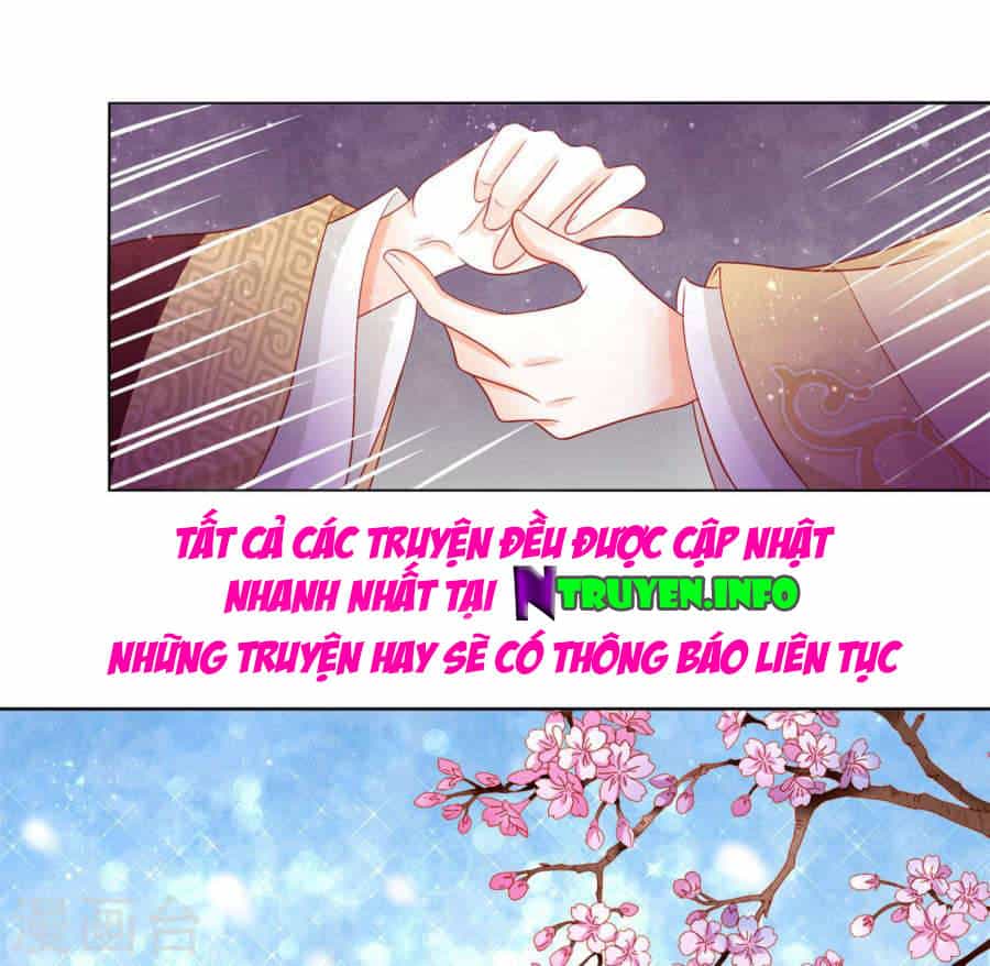Nam Phi Nữ Tướng - Chương 11 - ảnh 28
