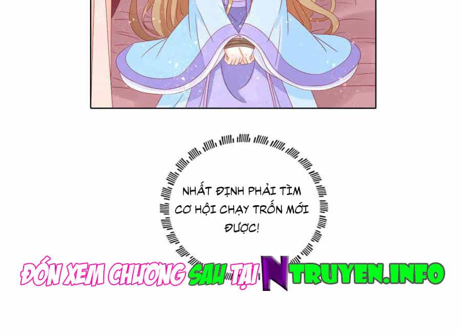 Nam Phi Nữ Tướng - Chương 35 - ảnh 33