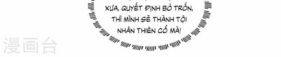 Nam Phi Nữ Tướng - Chương 41 - ảnh 4