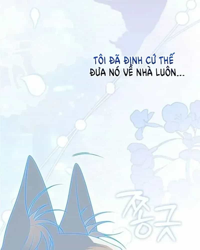 Nàng Công Chúa Tiên Tri - Chương 145 - ảnh 11