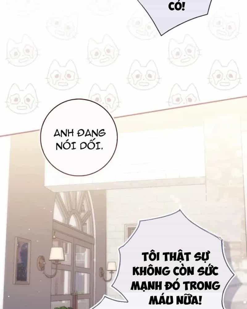 Nàng Công Chúa Tiên Tri - Chương 152 - ảnh 47
