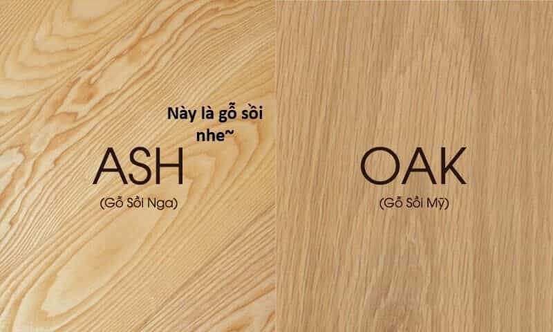 Ngay Cả Khi Hậu Tận Thế, Thật Hạnh Phúc Khi Vẫn Còn Được Sống... (Puchimasu Miếu) - Chương 44.1 - ảnh 18