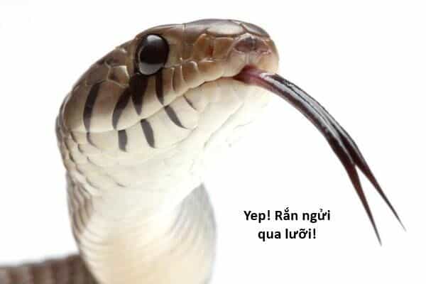 Ngay Cả Khi Hậu Tận Thế, Thật Hạnh Phúc Khi Vẫn Còn Được Sống... (Puchimasu Miếu) - Chương 44.2 - ảnh 15
