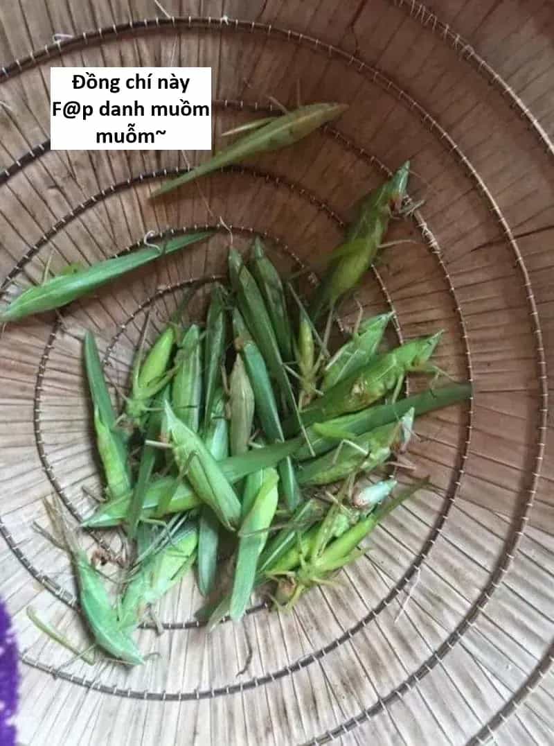 Ngay Cả Khi Hậu Tận Thế, Thật Hạnh Phúc Vẫn Còn Được Sống... - Chương 51.1 - ảnh 19