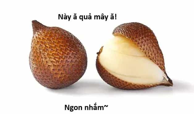 Ngay Cả Khi Hậu Tận Thế, Thật Hạnh Phúc Vẫn Còn Được Sống... - Chương 44.1 - ảnh 22