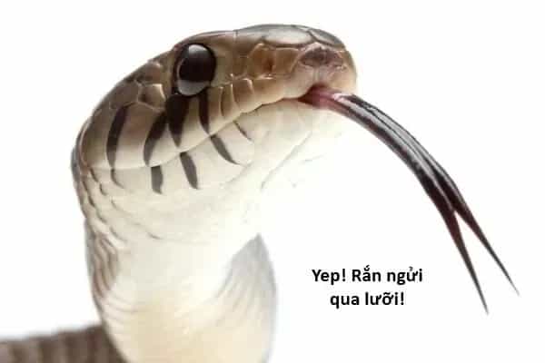 Ngay Cả Khi Hậu Tận Thế, Thật Hạnh Phúc Vẫn Còn Được Sống... - Chương 44.2 - ảnh 16
