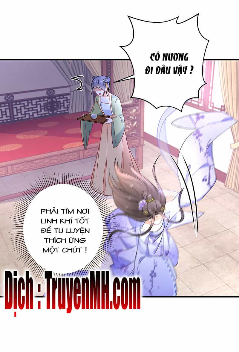 Nghịch Thiên Độc Phi - Chương 6 - ảnh 20