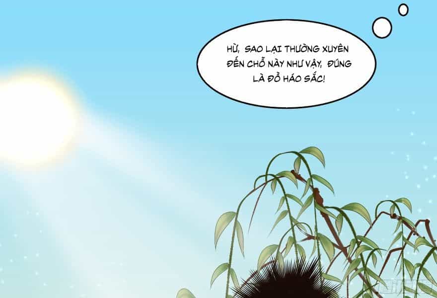 Ngô Bổn Công Chúa - Chương 7 - ảnh 14