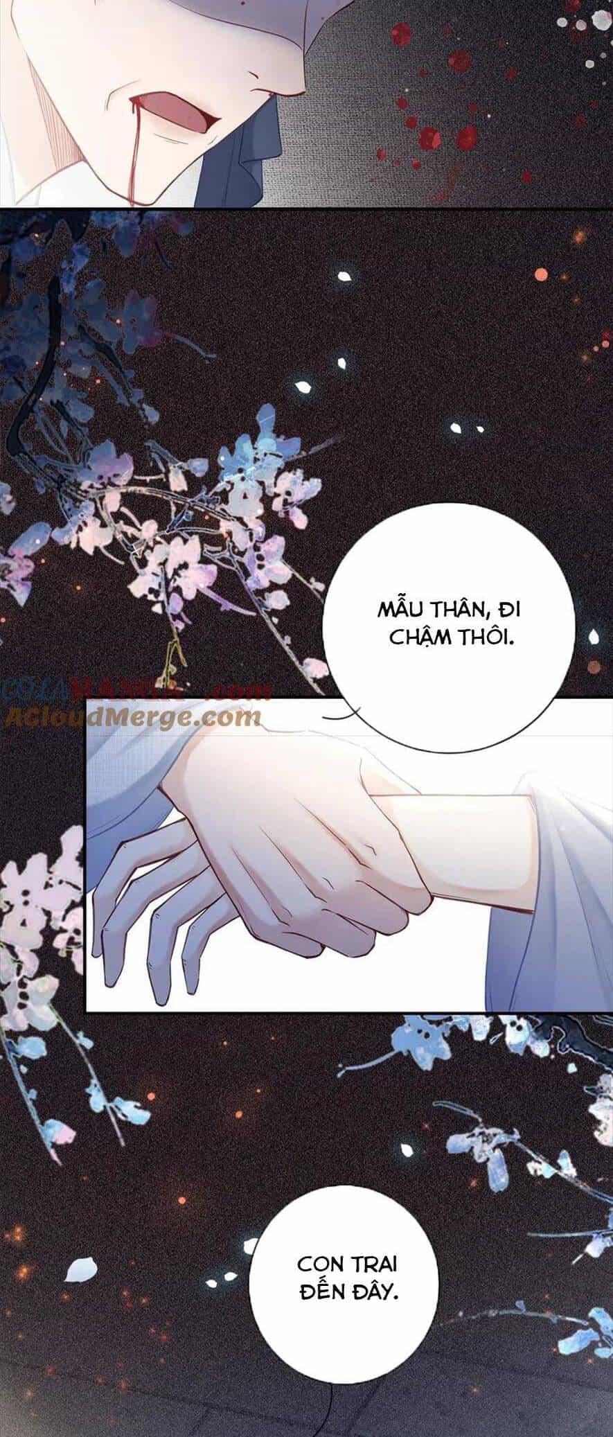 Ngỗ Tác Cẩm Y - Chương 41 - ảnh 2