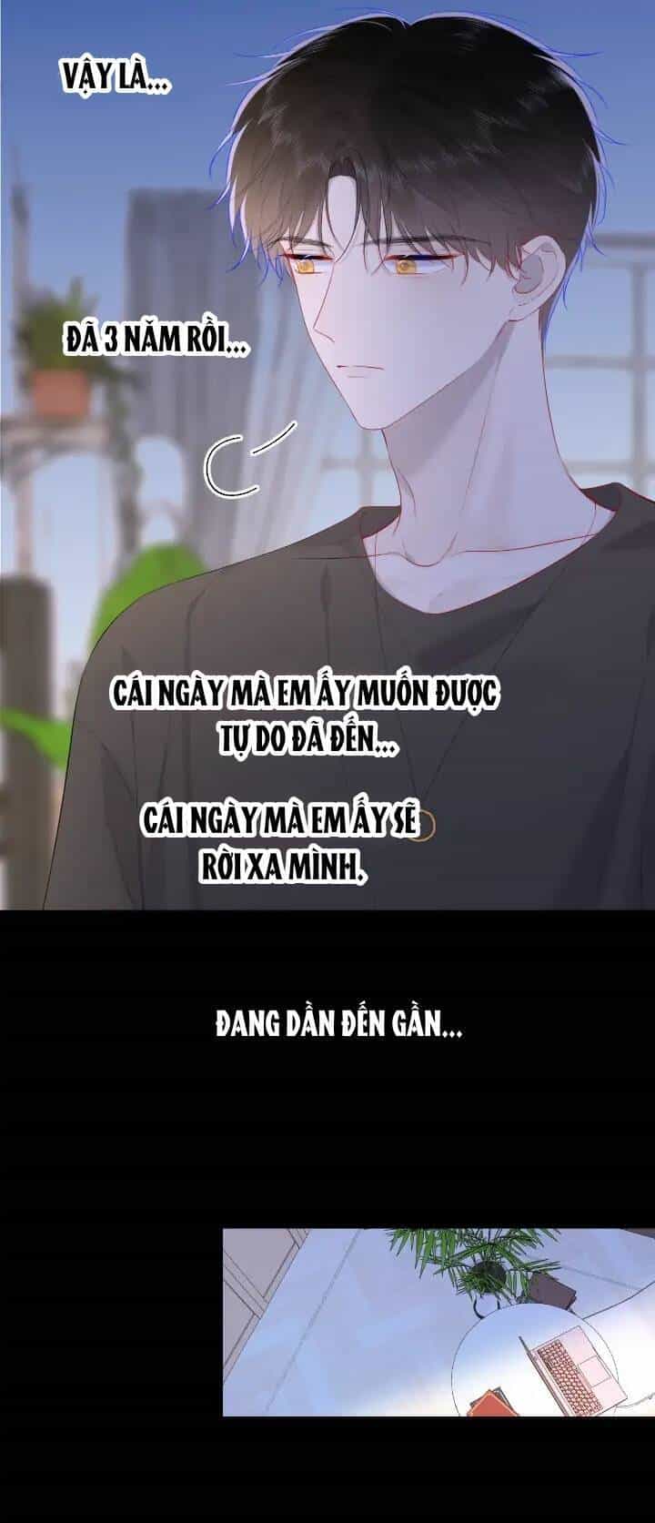 Ngôi Sao Cho Tôi - Chương 106 - ảnh 25