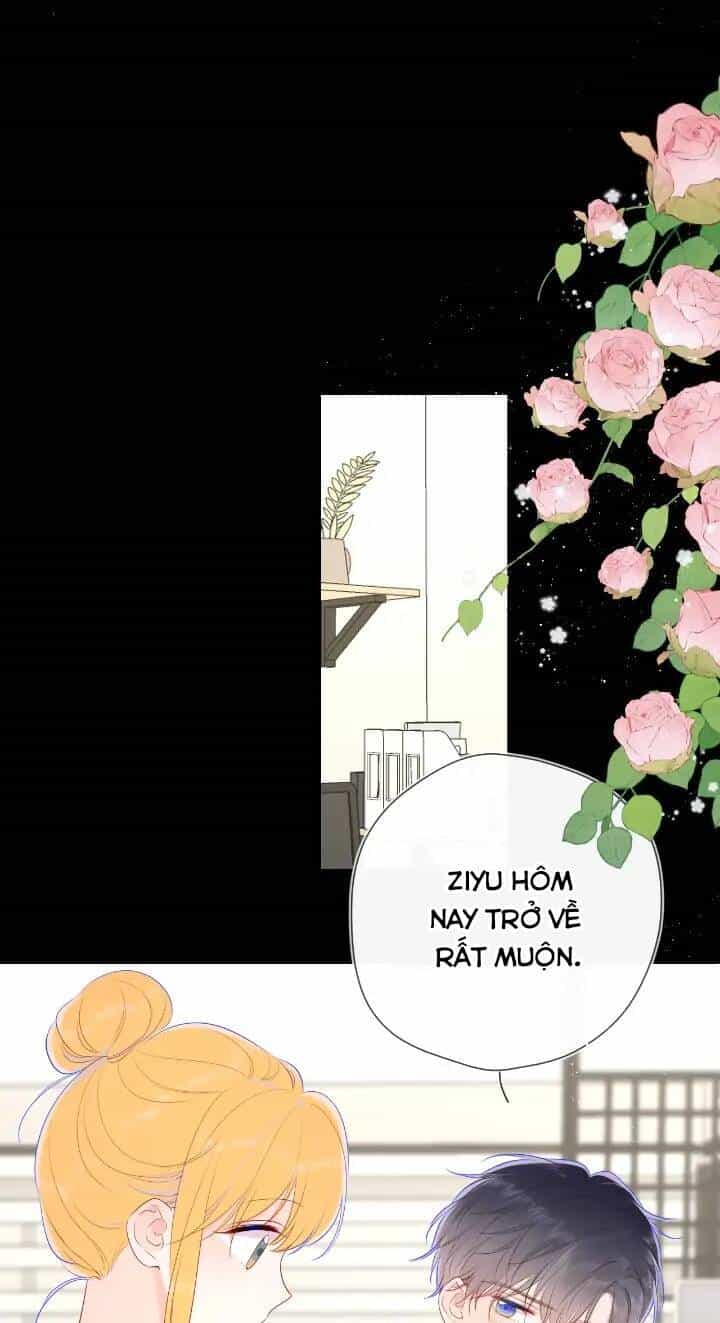 Ngôi Sao Cho Tôi - Chương 106 - ảnh 28