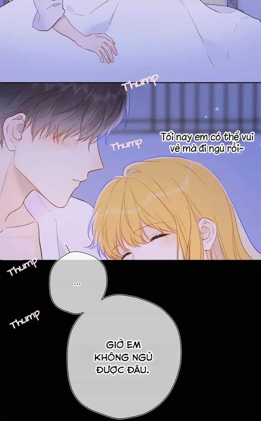 Ngôi Sao Cho Tôi - Chương 138 - ảnh 31